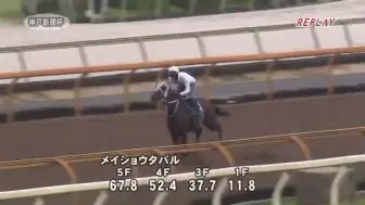 【2024.09.18】【黄金船产驹】名将田园追切，备战神户新闻杯中