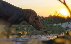 (油管转载)恐龙短片：霸王龙查理的生活 Charlie´s life - The T. rex Contest -