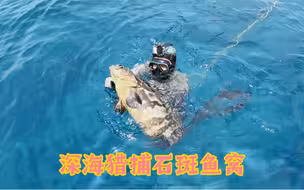 荒岛深蓝之海捕鱼记，阿锋与高手疯狂中大鱼，吃过海鲜大餐再战夜海