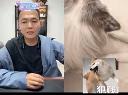 这狗有受虐倾向
