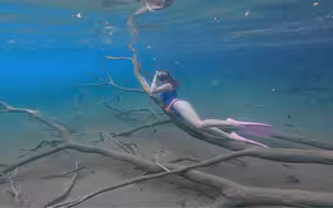 小姐姐说 做水下模特不容易呀