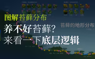 图解苔藓分布，聊一聊苔藓养护的底层逻辑