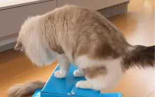 坏咪！！