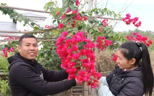 农村媳妇想拍婚纱照，结果小伙却带来了这里，这样真的合适吗？