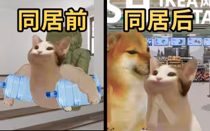 女友同居前后的区别