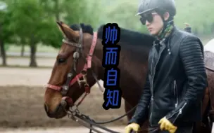 现在再看侯哥，有一种油里充分侵泡（免疫）后的清爽感。