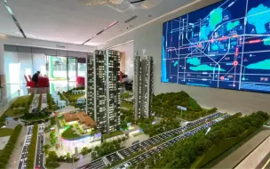 实拍：深圳房价暴跌，最便宜房子横空出世，错过不再