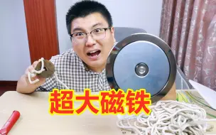 350块钱买了一个超大强磁，1000斤的吸力，能吸多少宝贝？