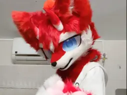 宝宝
