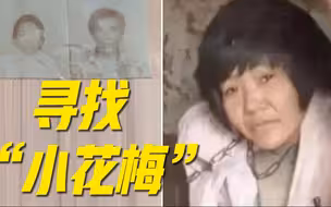 【独家视频】总台调查采访“丰县生育八孩女子”事件