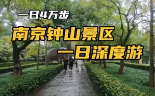 单日步行近4万步，完成南京钟山景区深度游，每一处景点都有故事