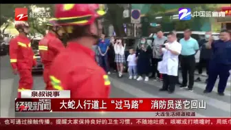 大蛇人行道上“过马路”  消防员送它回山