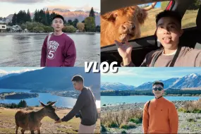 新西兰Vlog | 被大自然治愈的一周