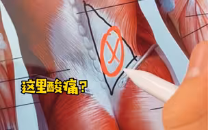 一套手法帮助你缓解腰背不适，简单易学！