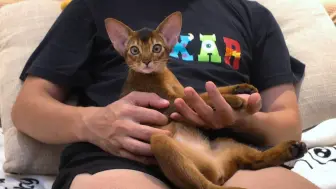 和小阿比一起看电视，是爸爸的小棉袄啊