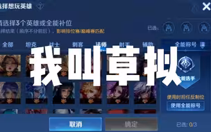【杨道理 老涂】我要为了你玩中单蔡文姬！