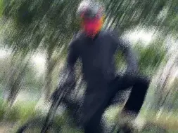 没办法每次都替你们自由，你们还是自己来吧