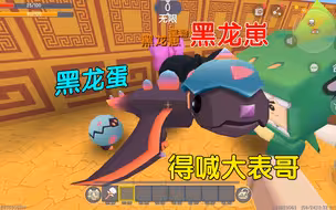 迷你世界：大表哥你的黑龙蛋，见到我的黑龙崽，也要喊大表哥才行