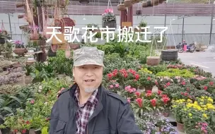 南充天歌花市搬迁了