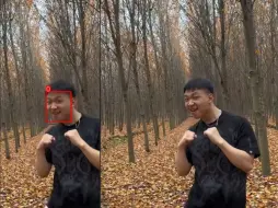 试试YoloV5的实时推理