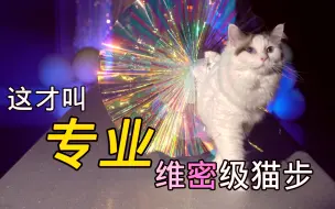 这才是维密猫步吗？？快把专业打在公屏上！