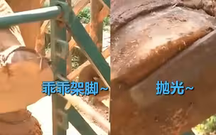 大象也要“做美甲”！乖乖架脚享受护理 网友：就差发条朋友圈了