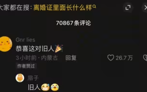 好小众的赛道……#我们领证啦 #离婚