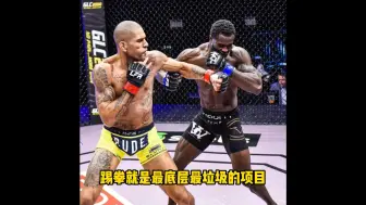 拷打踢拳仙，踢拳就是最底层最拉基的项目