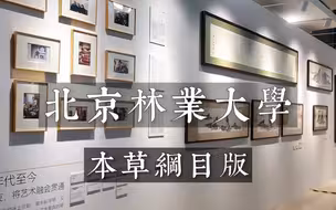 实拍大学：北京林业大学 —— ②食堂环境与宿舍（本草纲目版）