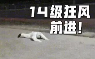 因为怕被吹走就全点防御力了！