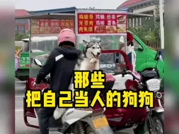 那些把自己当人的狗狗，来看看哪只最像