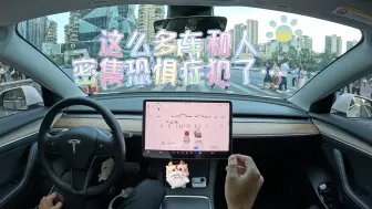 【特斯拉驾驶渲染】在中控看到这么多人和车…密集恐惧症犯了……