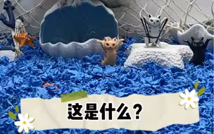 像不像猫，有没有龙猫背带裤啊