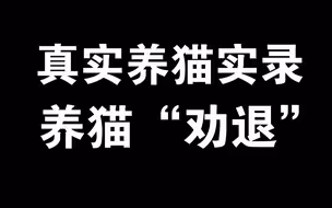 这是一个养猫劝退视频。看完心哇凉哇凉