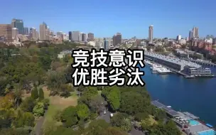 竞技意识优胜劣汰