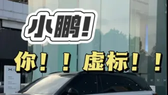 小鹏！你！虚标！！！