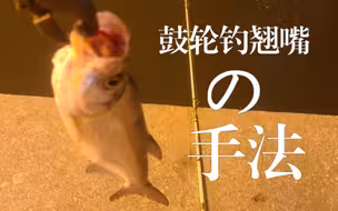 微物鼓轮在天津海河钓翘嘴的手法，一杆中鱼。