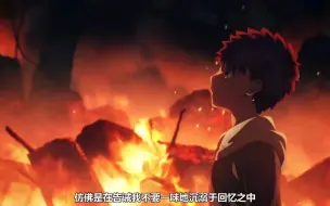 继承来自父亲的理想～名为『正义』的诅咒～英灵卫宫