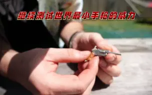 有史以来最小的手枪，长度只有5.5公分，它的威力到底有多大？