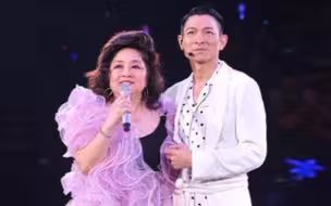【徐小凤·刘德华】一起走过的日子（刘德华2010演唱会除夕场）