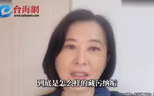 质问赖清德扫黑是不是扫假的  王鸿薇：民进党究竟是怎样藏污纳垢
