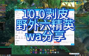 魔兽世界10.0剥皮野外六精英wa分享