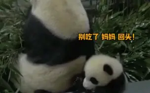 现实意义的母爱如山哈哈哈哈