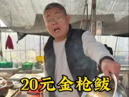 20元金枪鲅鱼