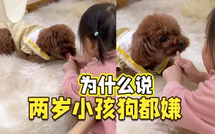 为什么说2岁的小孩，狗都嫌！