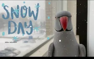 【鹦鹉】Milo看雪景，我们看Milo~