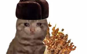 可颂猫，但是东北