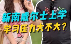 新南威尔士上学学习压力大不大