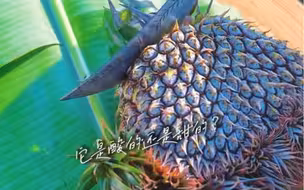 切开一看，原来是它