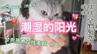 【良心发作的chunchun｜直播切片】太好了！是蒸煮麦麸我们没救啦！